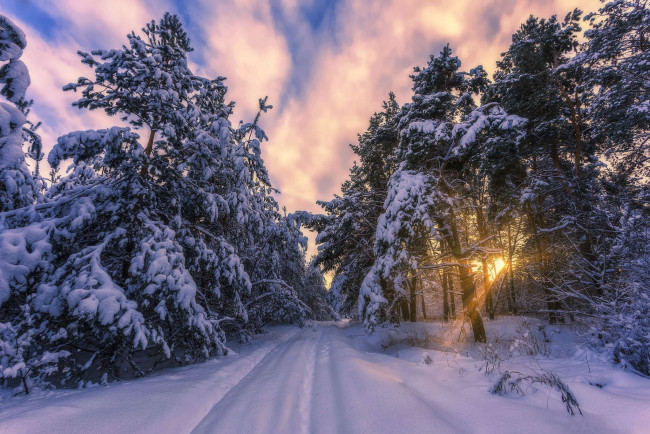 Обои картинки фото природа, зима, снег, лес, дорога