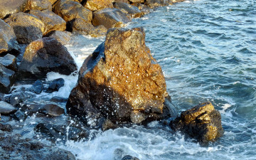 Картинка природа побережье море скалы