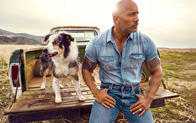 Обои картинки фото мужчины, dwayne johnson , the rock, грузовик, тату, собака