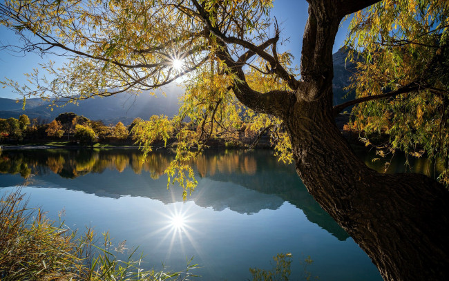 Обои картинки фото природа, реки, озера, отражение, река, дерево