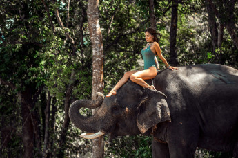 Картинка девушки -+брюнетки +шатенки купальник слон лес