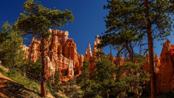 Картинка bryce+canyon+national+park+ utah природа горы bryce canyon national park