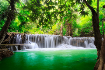 Картинка природа водопады водопад деревья