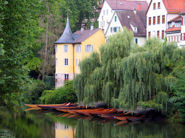 Обои картинки фото тюбинген германия, города, - пейзажи, ивы, германия, река, лодки, дома, тюбинген