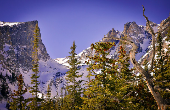 Обои картинки фото природа, горы, снега, лес, скалы