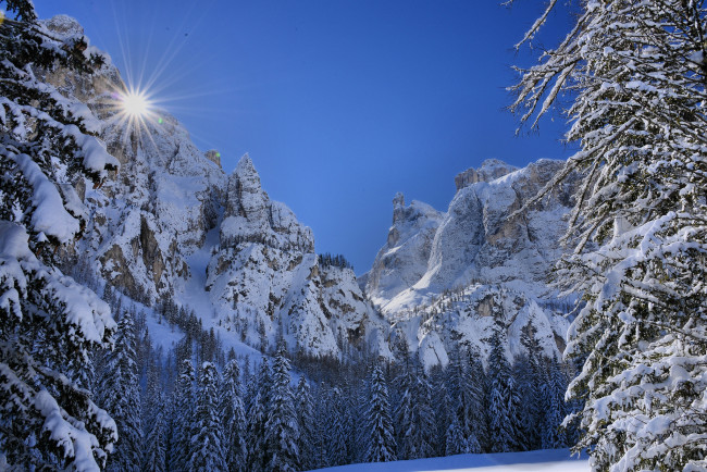 Обои картинки фото природа, зима, снег, лес, скалы, горы, сияние, солнце