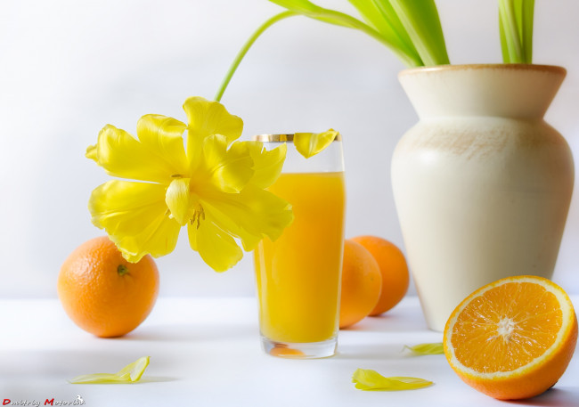 Обои картинки фото еда, напитки,  сок, апельсины, сок, тюльпан