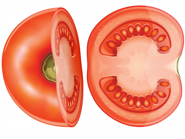 Обои картинки фото векторная графика, еда , food, помидоры