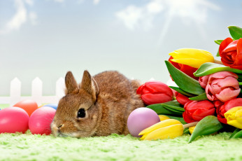 Картинка праздничные пасха яйца кролик