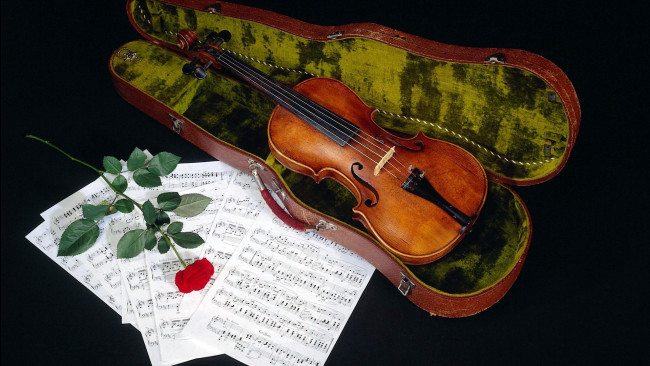 Обои картинки фото музыка, -музыкальные инструменты, роза, футляр, ноты, скрипка