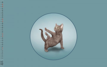 Картинка календари компьютерный+дизайн упражнение кошка