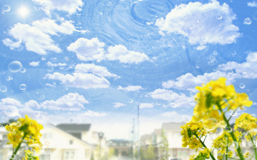 Картинка разное компьютерный+дизайн небо облака вода отражение цветы