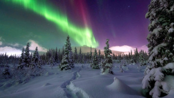 Картинка northern+lights alaska природа северное+сияние northern lights