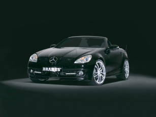 Картинка 2008 brabus mercedes benz slk автомобили