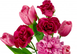 Картинка цветы разные вместе тюльпаны розы