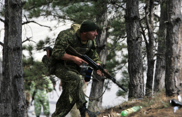Картинка оружие армия спецназ спецназовец автомат лес