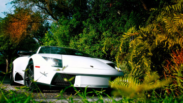 Картинка lamborghini murcielago автомобили спортивные италия automobili s p a