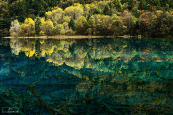 Картинка природа реки озера озеро лес вода чистая дно деревья