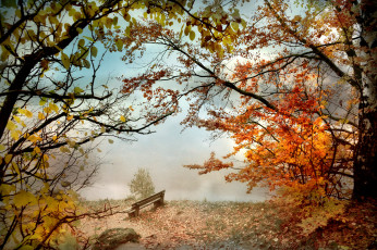 Картинка природа реки озера парк осень скамейка туман