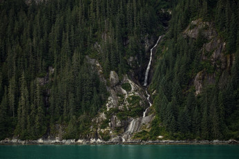 Картинка природа реки озера водопад ели лес скала