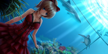 Картинка аниме животные +существа платье девушка арт черепаха вода взгляд аквариум