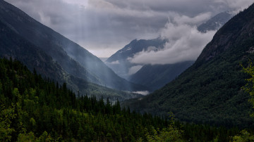 Картинка природа горы лес лучи облака тучи