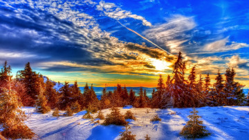Картинка природа восходы закаты снег небо зима деревья