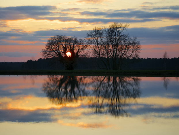 Обои картинки фото природа, восходы, закаты, озеро, отражение, закат, дерево, солнце, небо, облака