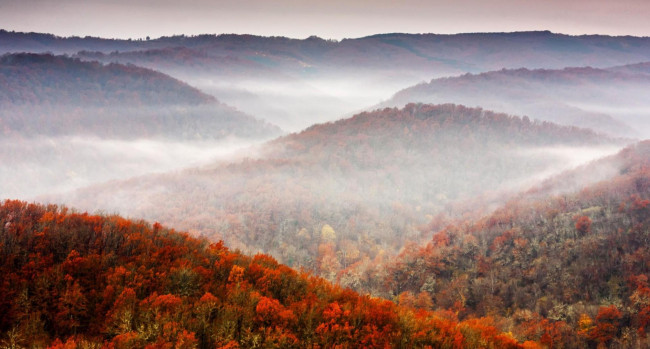 Обои картинки фото природа, горы, осень, лес, деревья, туман