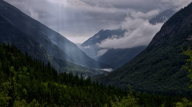 Обои картинки фото природа, горы, лес, лучи, облака, тучи
