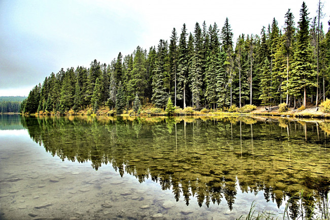 Обои картинки фото природа, реки, озера, отражение, река, лес