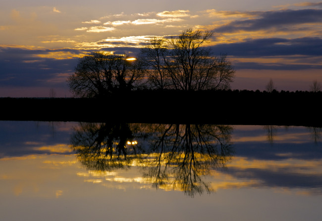 Обои картинки фото природа, восходы, закаты, озеро, отражение, закат, дерево, солнце, небо, облака