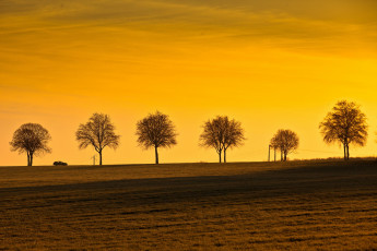 Картинка природа восходы закаты пейзаж машина деревья закат