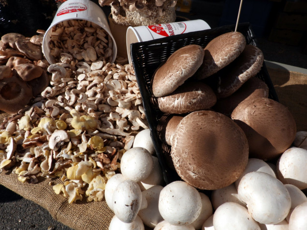 Обои картинки фото еда, грибы,  грибные блюда, шампиньоны
