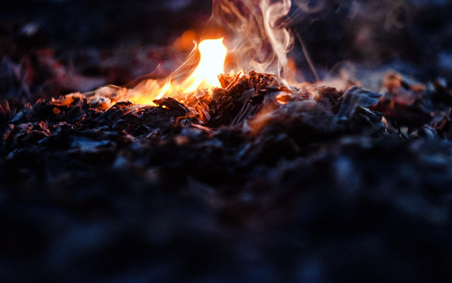 Обои картинки фото природа, огонь, пепел, пламя