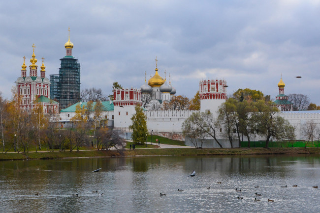 Обои картинки фото города, - православные церкви,  монастыри, россия, богородице-смоленский, новодевичий, монастырь, москва