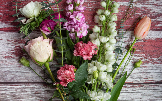 Обои картинки фото цветы, разные вместе, гвоздика, роза, тюльпан