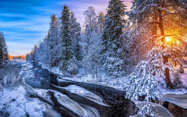 Обои картинки фото природа, зима, снег, река, лес, солнце