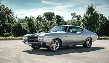 обоя chevrolet chevelle, автомобили, chevrolet, серебристый, площадка, деревья