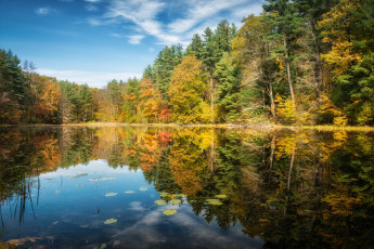 Картинка norfolk connecticut природа реки озера лес озеро деревья отражение осень