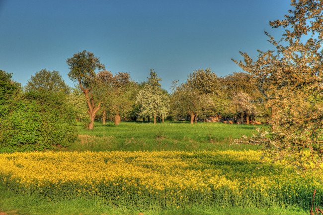 Обои картинки фото германия, хунген, природа, луга, поляна, деревья, весна