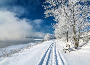 Картинка природа зима деревья озеро пруд склон скамья парк снег