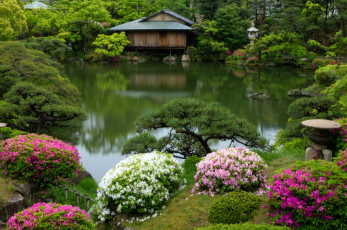 Картинка природа парк азалии кусты пруд кобе Япония сад домик рододендрон