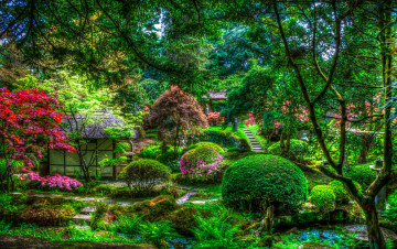 Картинка природа парк пруд цветы кусты деревья hdr Япония домик