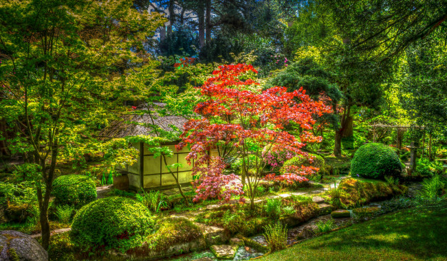 Обои картинки фото природа, парк, hdr, кусты, домик, зелень, Япония, деревья