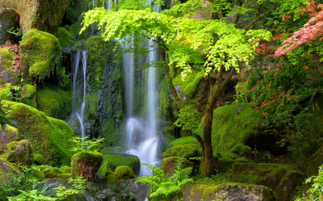 Обои картинки фото природа, водопады, деревья, зелень, мох, камни, поток, водопад