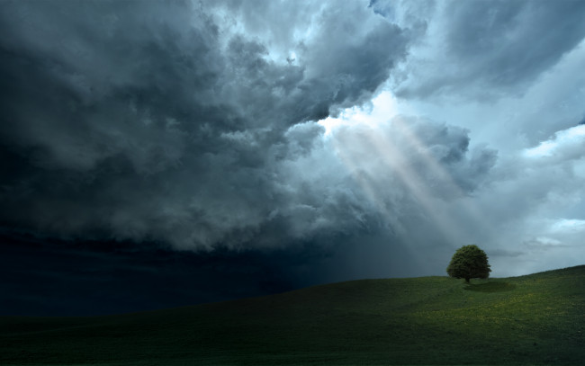 Обои картинки фото природа, поля, облака, красота, холмы, пейзажи, дерево, деревья, небо, свет, лучи