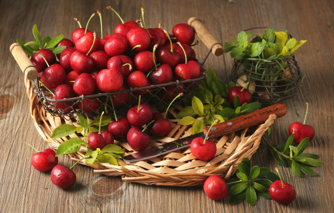 Обои картинки фото еда, вишня,  черешня, красные, мята, листья, ягоды, вишни, корзина