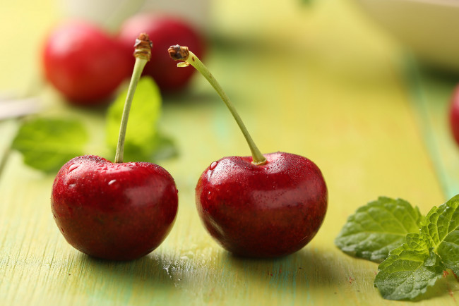 Обои картинки фото еда, вишня,  черешня, макро, красные, ягоды, пара, вишни, мята