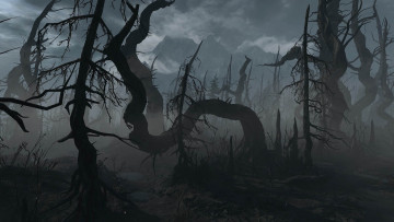 обоя видео игры, the witcher 3,  wild hunt, деревья
